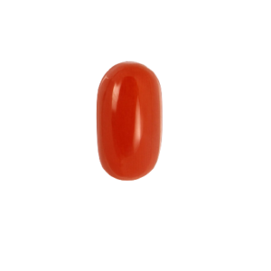 Red Japanese Coral – 5 To 6 Carats